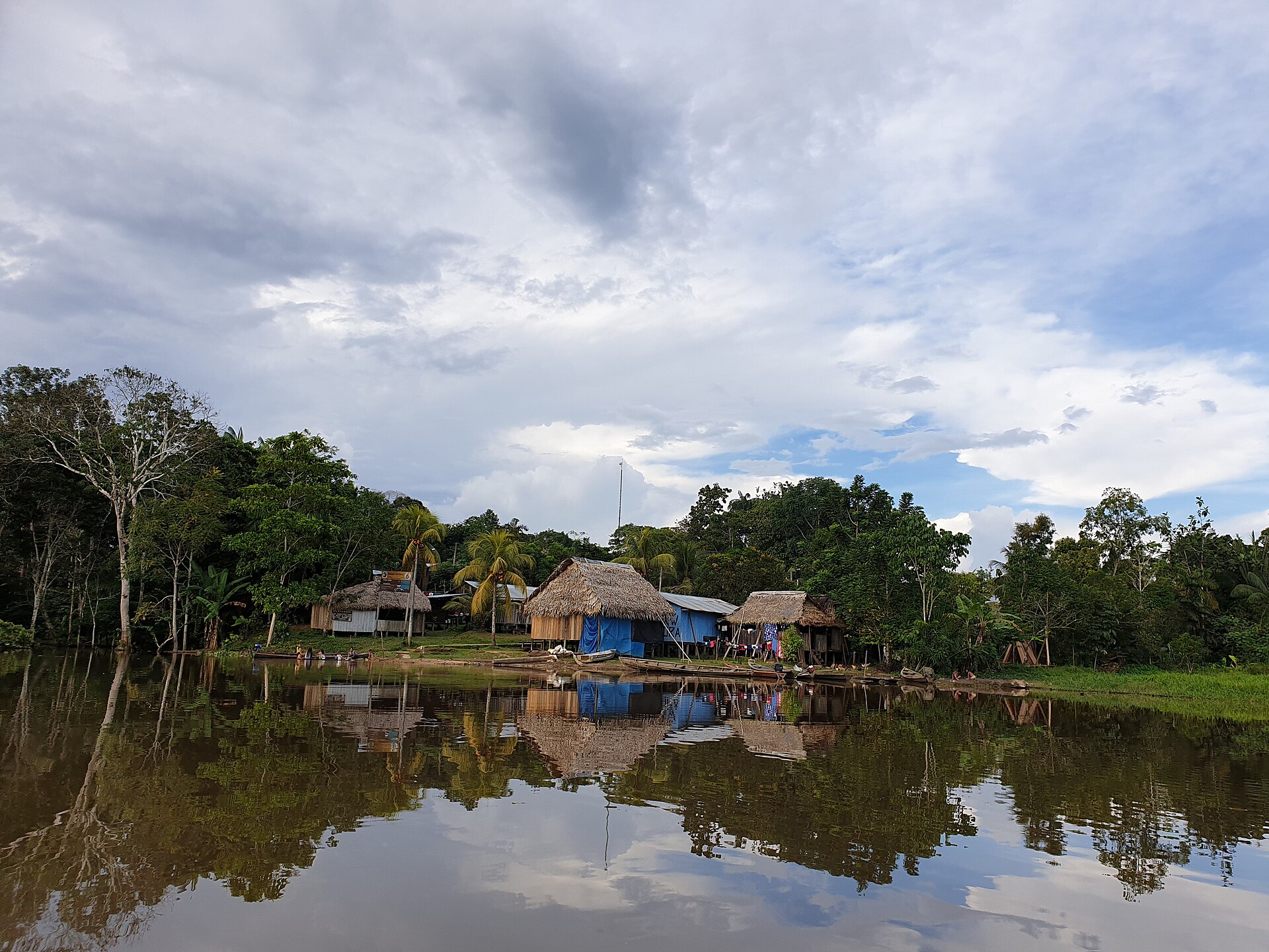 Imagem de referência relacionada a Região Amazônica da Colômbia, item descrito como 42% da floresta amazônica na Colômbia